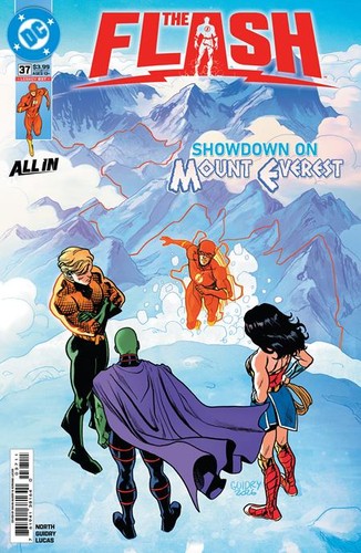 Flash dc comics - flash,