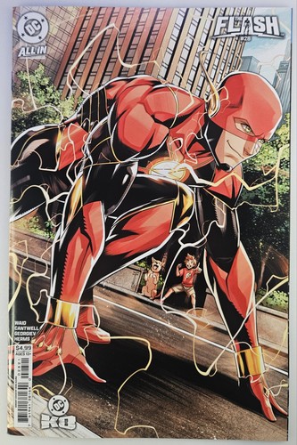 The flash cover - flash, c